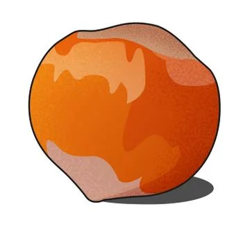 Hazelnut on a white background, vector work, isolated Stock Illustration