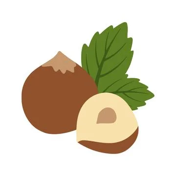 Hazelnut whole and cracked with leaf Stock Illustration