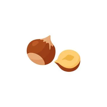 Hazelnut whole and hazelnut opened half, cartoon colored vector illustration Stock Illustration