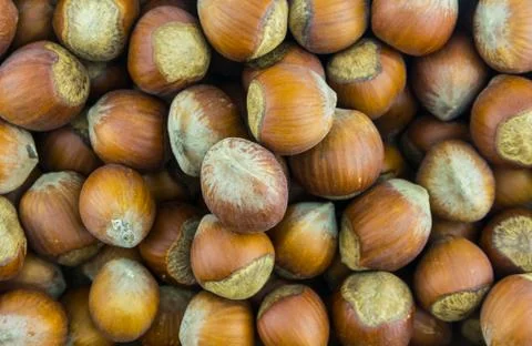 Hazelnut whole hazelnut shell pattern dessert base baking pies set of fruit c Stock Photos