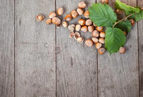 Hazelnut on wooden background Foto stock