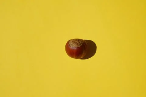 Hazelnut on a yellow background with a hard shadow 写真素材