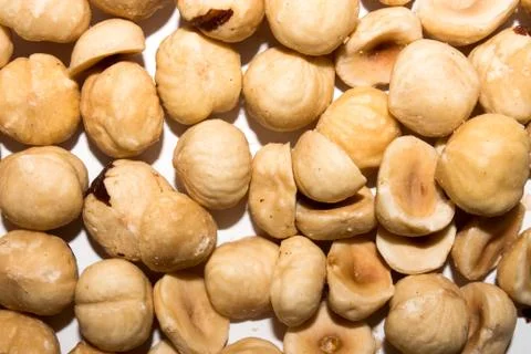 Hazelnut.Peeled hazelnuts. Stock Photos