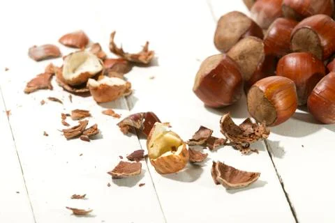 Hazelnuts 2 Stock Photos