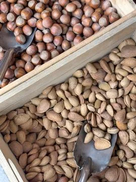 Hazelnuts and almonds in shell and scoop, Stock Photos