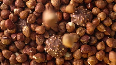 Hazelnuts and chocolate Stock Footage 304515623