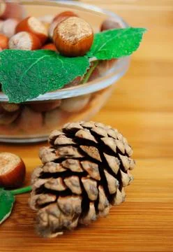 Hazelnuts and cone Stock Photos