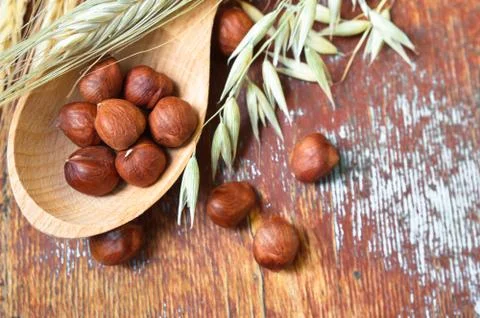 Hazelnuts and ears Fotos de archivo