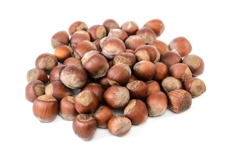 Hazelnuts and kernels on white background with soft shadow Stock Photos