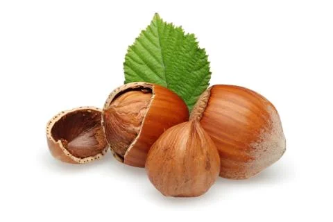 Hazelnuts and leaf on white background Stock Photos