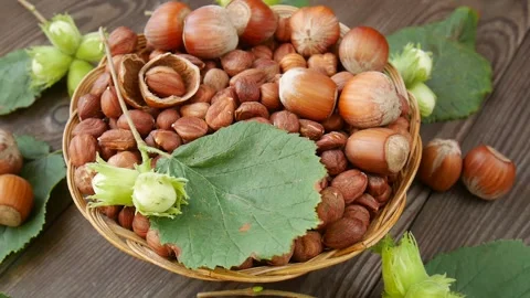 Hazelnuts and leaves rotating in a basket on a wooden table. Stock Footage 303199844
