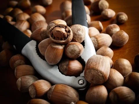 Hazelnuts and tool Stock Photos
