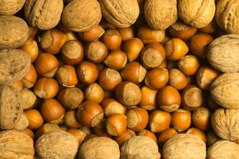 Hazelnuts and walnuts background Stock Photos
