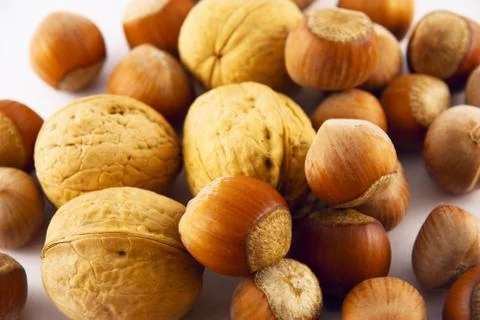 Hazelnuts and walnuts isolated on white Fotos de archivo
