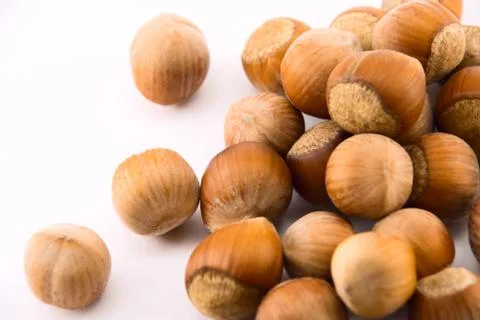 Hazelnuts and walnuts isolated on white Stock Photos