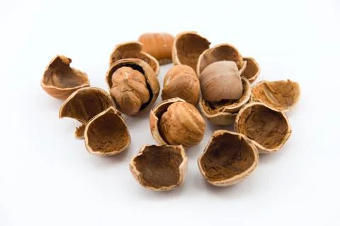 Hazelnuts and walnuts isolated on white Foto stock