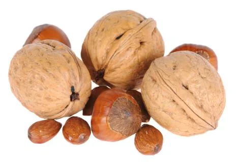 Hazelnuts and walnuts Stock Photos