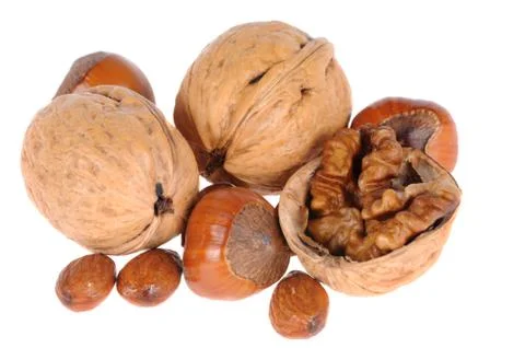 Hazelnuts and walnuts Stock Photos