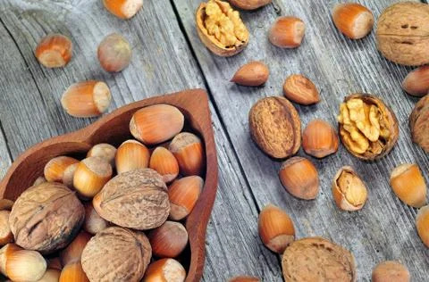 Hazelnuts and walnuts Foto stock