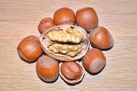 Hazelnuts and walnuts in shell on the table Stock Photos