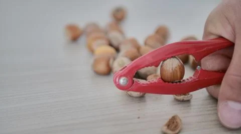 Hazelnuts are split with a nutcrick. On a wooden background. Stock Photos