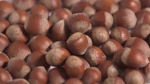 Hazelnuts background - 4K - stock video Stock Footage 196272365