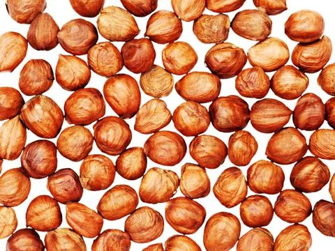 Hazelnuts background isolated on white background . Closeup. Stock Photos