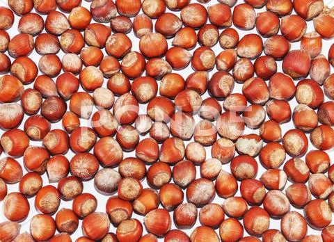 Hazelnuts background Stock Photos