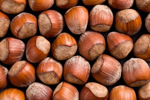 Hazelnuts background Stock Photos