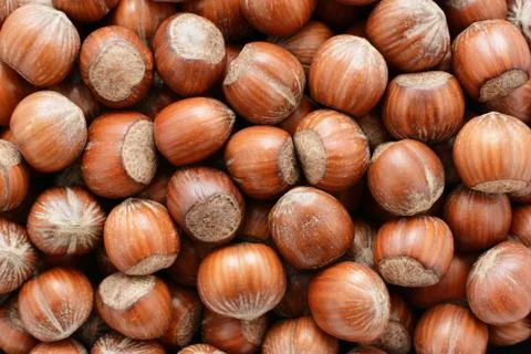 Hazelnuts background Stock Photos
