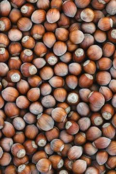 Hazelnuts background Stock Photos