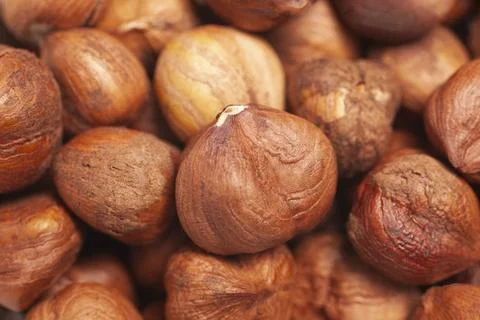 Hazelnuts as background, top view Stock-Fotos