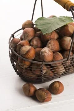 Hazelnuts in basket Stock Photos