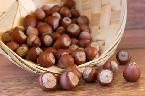 Hazelnuts in basket Stock Photos