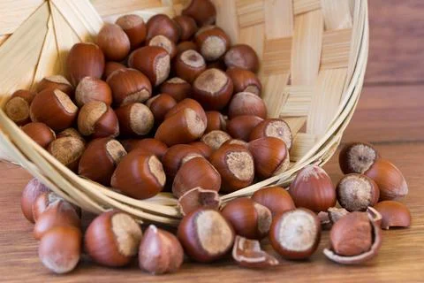Hazelnuts in basket Stock Photos