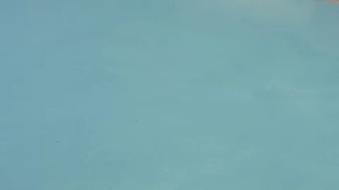 Hazelnuts on a blue background. Slow motion. Close-up. Vidéo 69879122