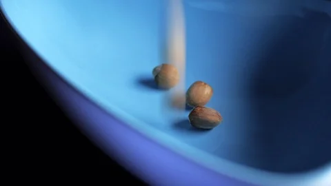Hazelnuts in Blue Bowl Stock Footage 98280245