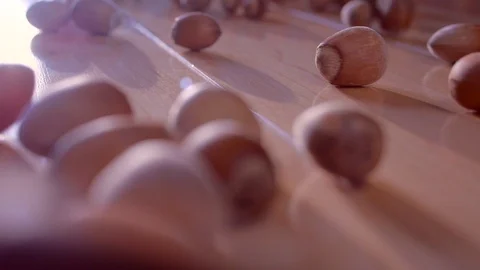 Hazelnuts Bounce over Floorboards Stock Footage 98279876