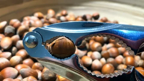 Hazelnuts in Bowl and Nutcracker Video stock 129191421