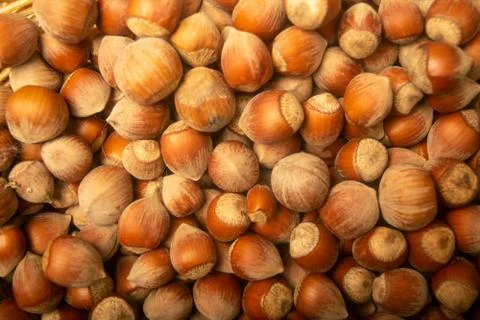Hazelnuts in bulk. Surface texture. Close up. Stock Photos