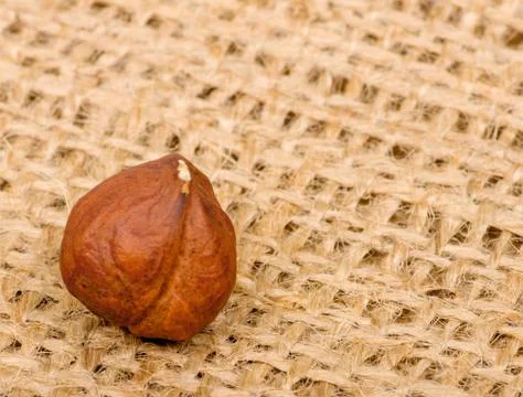 Hazelnuts on burlap background Stock Photos