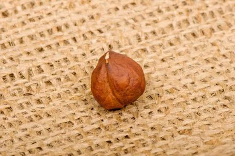 Hazelnuts on burlap background Stock Photos