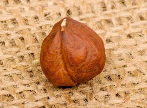 Hazelnuts on burlap background Stock Photos
