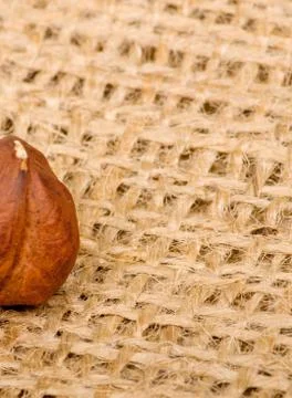 Hazelnuts on burlap background Stock Photos