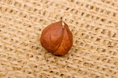 Hazelnuts on burlap background Stock Photos