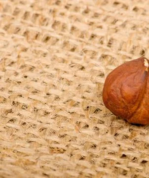 Hazelnuts on burlap background Stock Photos