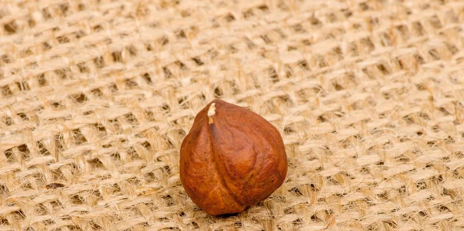 Hazelnuts on burlap background Stock Photos