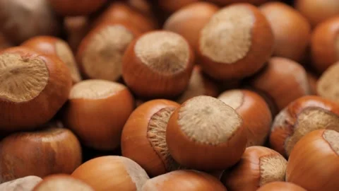 Hazelnuts. Camera slowly pans down to show beautiful hazelnut. Macro shot Vídeos de archivo 171896111