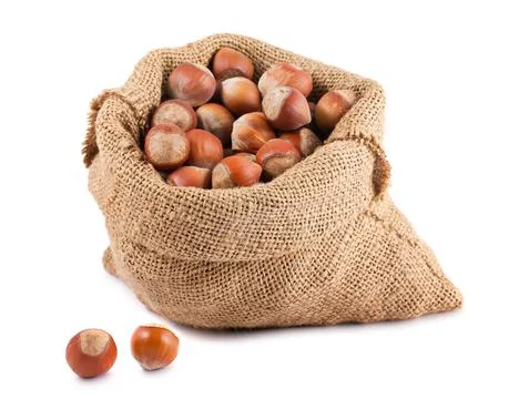 Hazelnuts in canvas sack Stock Photos