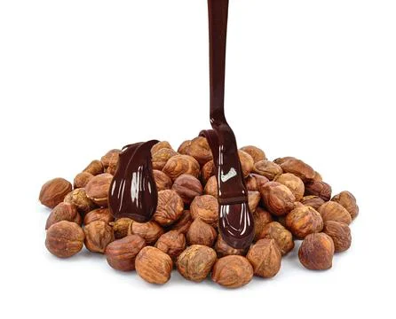 Hazelnuts with chocolate Stock Photos